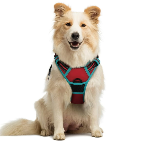 rabbitgoo Harnais pour Chien, Harnais pour Animal Anti-Traction avec 2 Pinces pour Laisse, Harnais Rembourré Doux Ajustable, Harnais Oxford Réfléchissant Anti-Étranglement pour Animal avec Poignée de Contrôle Facile pour Grands Chiens, Rouge et Sarcelle, m