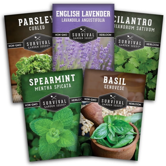 Herb Seeds 5 Variety Pack - Lavender Spearmint Basil Cilantro Parsley - Heirloom Full Sun