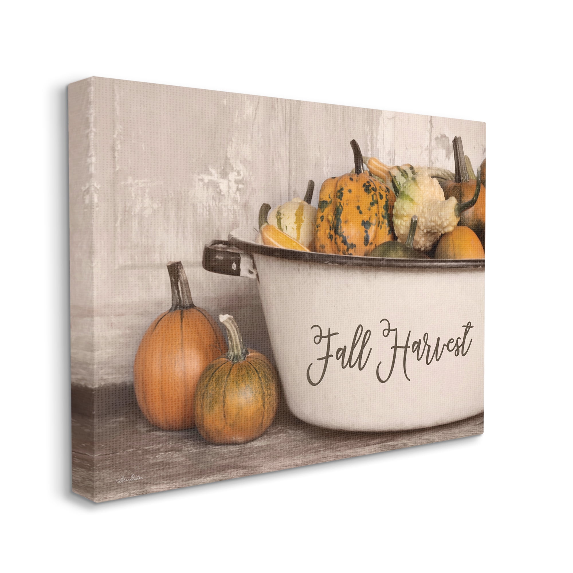 Fall Harvest Bowl Gourds Pumpkins Arrangement Still Life Botanical & Floral Graphic Art Gallery-Wrapped Canvas Print Wall Art