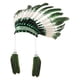 thumbnail image 5 of Accesorios de fotografía con tocados de plumas: americanos para fiestas, carnavales y representaciones teatrales. Verde, 5 of 8