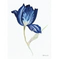 thumbnail image 2 of Stellar Design Studio 12x14 White Modern Wood Framed Museum Art Print Titled - Blue Flower Stem II, 2 of 4