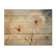 thumbnail image 3 of Designart "Pure Petals of Dandelions" Floral Print on Natural Pine Wood, 3 of 5