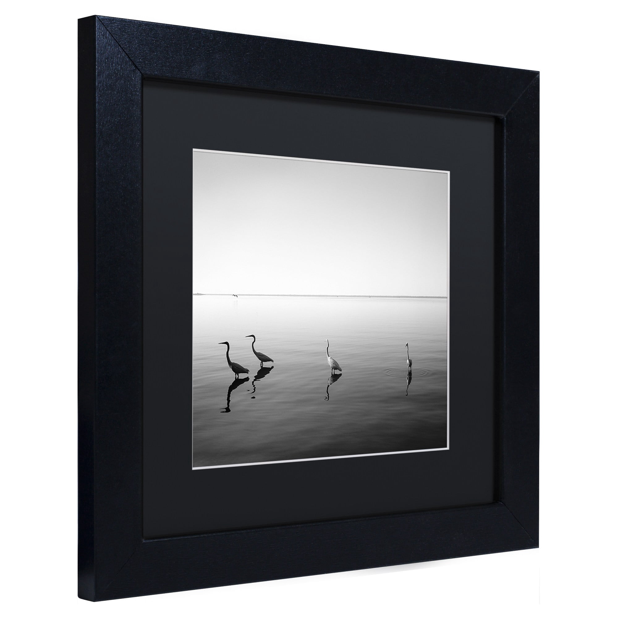 Trademark Fine Art "4 Herons" Canvas Art by Moises Levy Black Matte, Black Frame