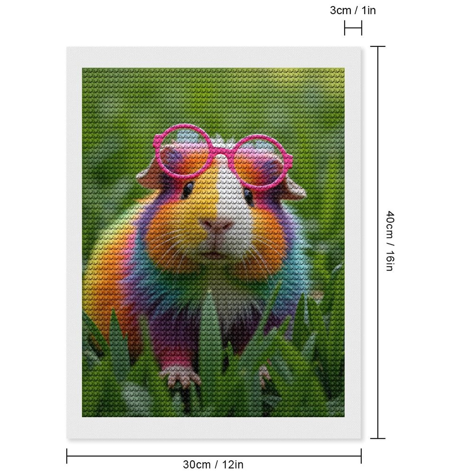 Diamond Art Kits for Adults, Colorful Guinea Pig Glasses Grass 5D Diamond Painting Kits for Adults Beginners, DIY Full Drill Diamond Painting, Gem Art and Crafts 12x16