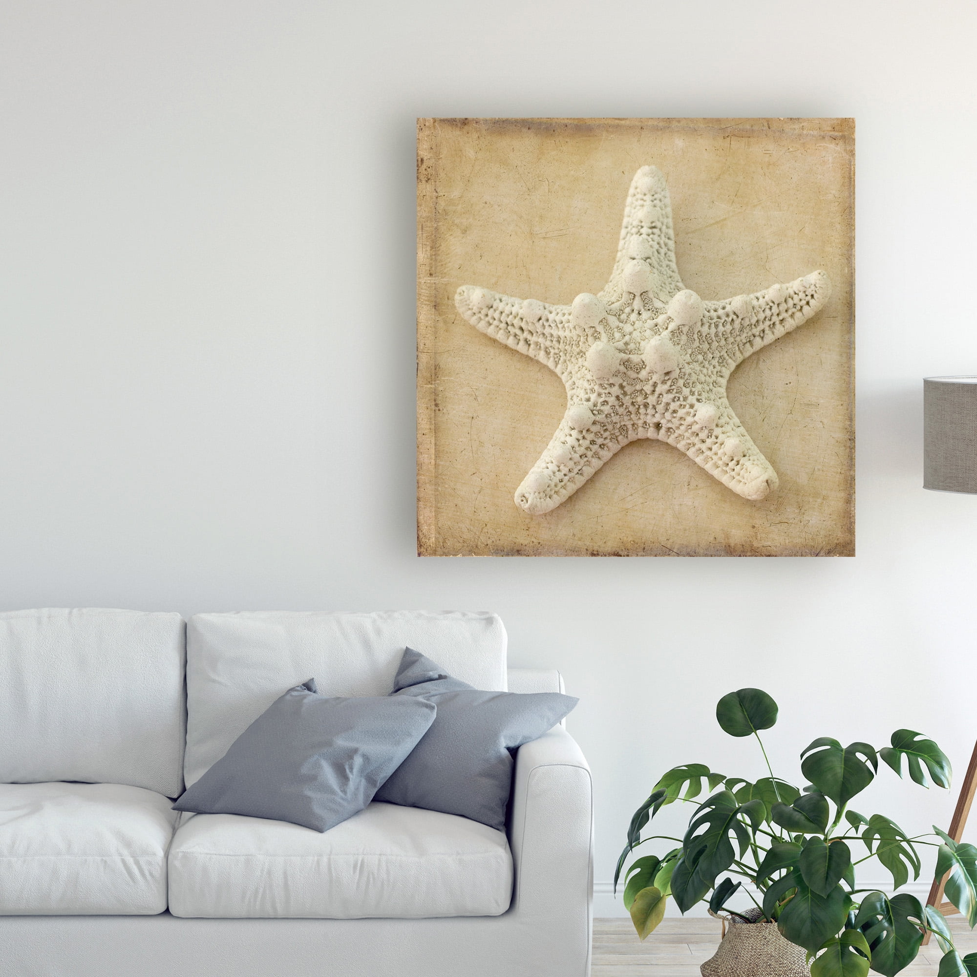 Trademark Fine Art 'Sepia Shell I' Canvas Art by Judy Stalus