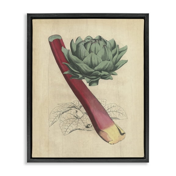 Stupell Industries Vintage Vegetable Studies Food & Beverage Painting Black Floater Framed Canvas Art Print Wall Art, 17 x 21
