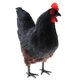 thumbnail image 4 of Figuras en Miniatura de Animales de Granja Baoblaze de Tamaño Natural Color negro, 4 of 8