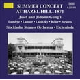 thumbnail image 1 of Summer Concert at Hazel Hill, 1871, 1 of 1