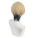 thumbnail image 3 of Peluca corta para cosplay de anime, rubia y negra degradada, 28 cm, 3 of 3