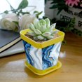 thumbnail image 5 of HemaKayy Decorative Planter Pot Set - Perfect for Small Plants - Colorful Design With Drainage Hole - Ideal for Home and Garden Decor - Set of 8 - Unique Marble Texture, 5 of 6
