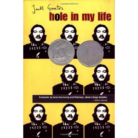 Pre-Owned Hole in My Life (Paperback) 0374430896 9780374430894