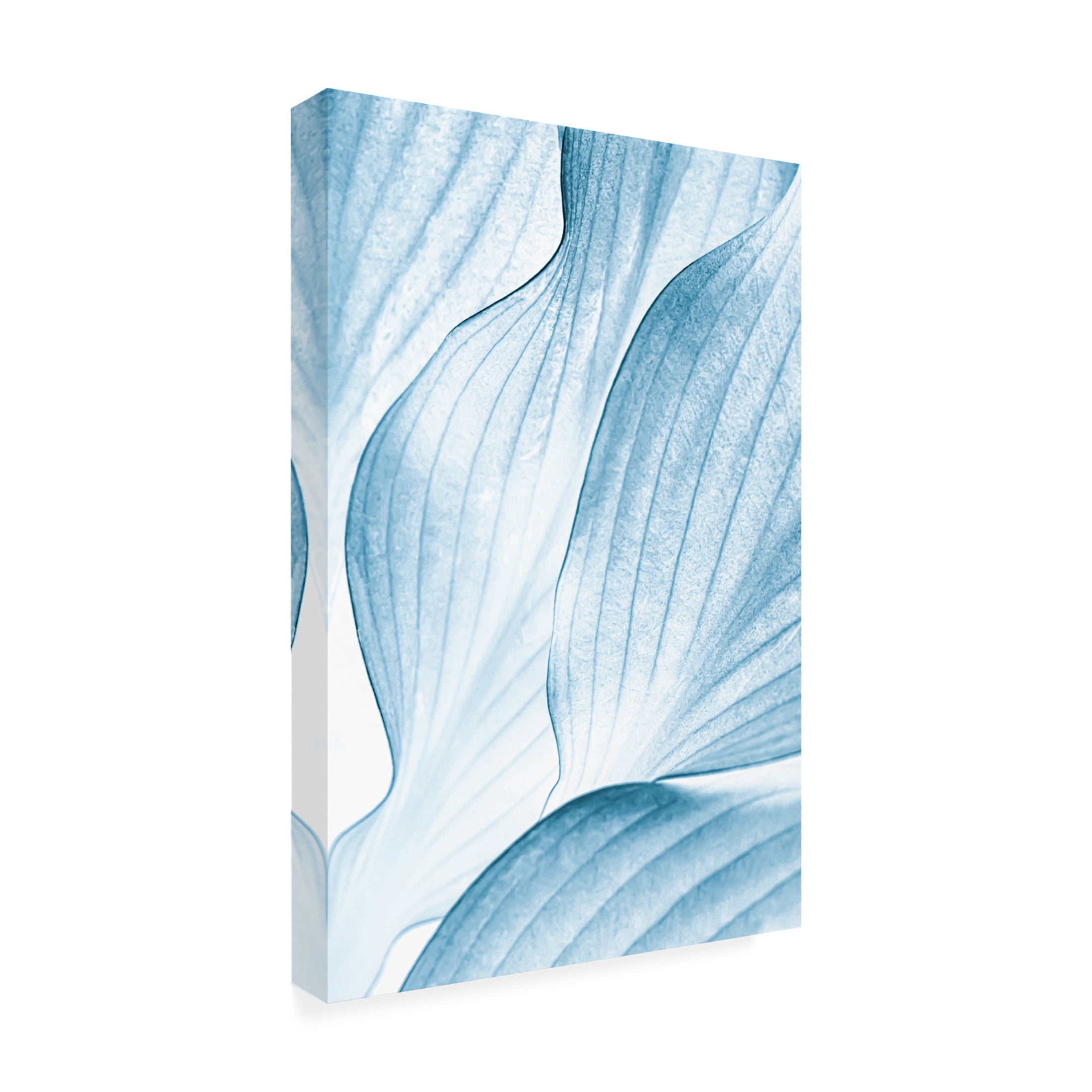 Trademark Fine Art Beth Buelow Icy Waves Canvas Wall Art