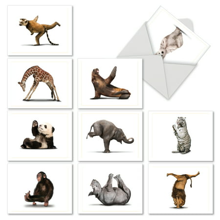 M6547TYG M6547TYG Zoo Yoga' 10 Assorted Thank You Notecards Featuring Fun and Flexible Zoo Animals Practicing Various Yoga Poses with Envelopes by The Best Card (Best Zoos In The Us For Animals)
