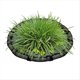 thumbnail image 1 of Corral Flotante para Plantas, Isla Flotante, Protector de Plantas, Red para Estanque, Cerca Redonda para Pecera, para Lenteja de Agua, Exterior, 80 cm, 1 of 5