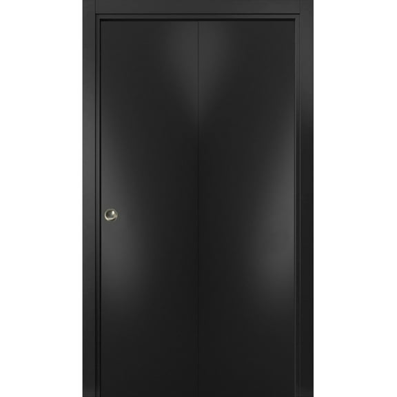 Sliding Closet Bi-fold Doors | Planum 0010 Matte Black