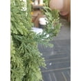 thumbnail image 6 of 2Pcs 9 Ft Christmas Cedar Garland, Realistic Faux Pine Garlands, Green Artificial Greenery Garland for Winter Home, Mantle, Fireplace, Indoor, Outdoor Christmas Decorations, 6 of 6