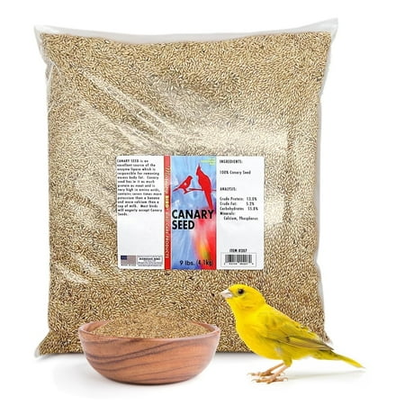 Morning Bird Canary Seed – Nutritional Rich in Vitamins and Supplements for Birds – Ideal for Healthy Feathers and Strong Bones Seed for All Birds Type 9 lbs