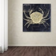 thumbnail image 4 of Trademark Fine Art "Maritime Blues III" Canvas Art by Color Bakery, 4 of 4
