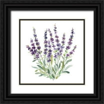 Robinson, Carol 26x26 Black Ornate Wood Framed with Double Matting Museum Art Print Titled - Lavender Botanical II