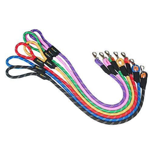 Climbers Dog Leash 6ft Purple
