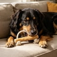 thumbnail image 7 of Coffee Wood Rope Knot Dog Toy for Teeth Cleaning Chew Tug of War Durable Interactive Toy for Medium Large Dogs Made of Real Coffee Wood, 7 of 7