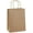 Brown, variant on Gift Bags 8x4.25x10.5 100Pcs Brown Paper Gift Bags with Handles Bulk for Wedding, Party Favor, Grocery, Shopping, Retail, Merchandise Medium Kraft Paper Sacks