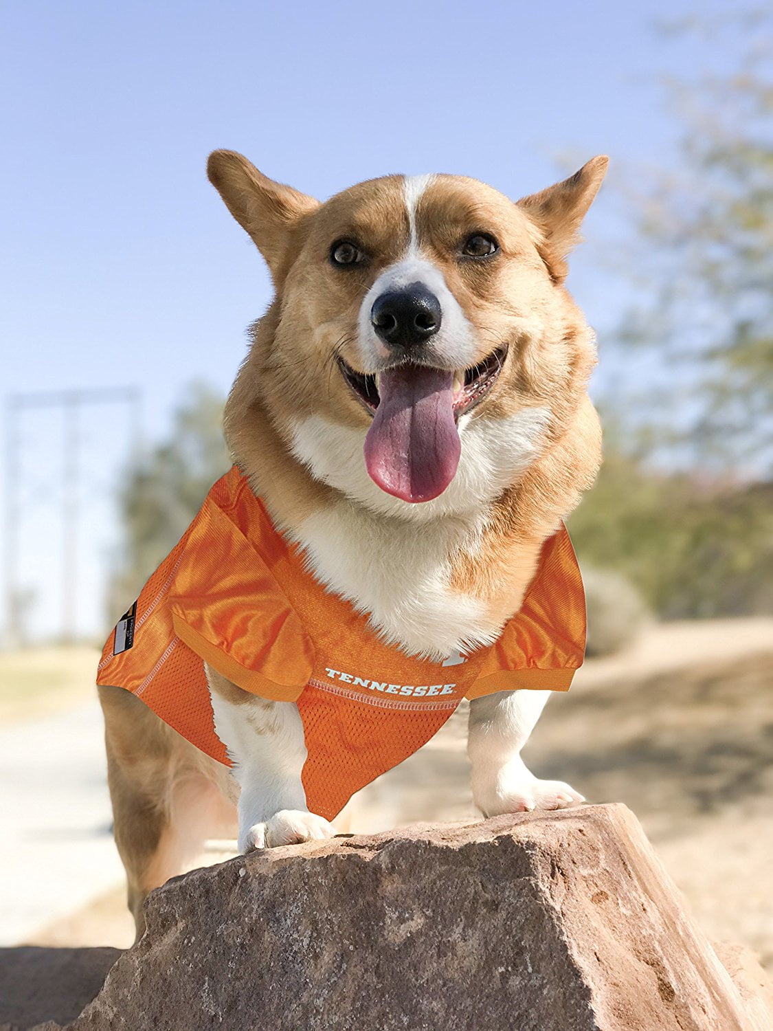 Pets First Collegiate Tennessee Volunteers Football/Basketball Mesh Jersey for Pet Dog. available in 40+ Teams - Extra Small