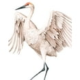 thumbnail image 2 of Popp, Grace 15x18 White Modern Wood Framed Museum Art Print Titled - Whooping Crane II, 2 of 4