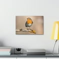 thumbnail image 3 of Majestic Robin Art Majestic Robin Print Animal Wall Art Wildlife Canvas Prints Wall Art Ready to Hang Unframed, 3 of 18