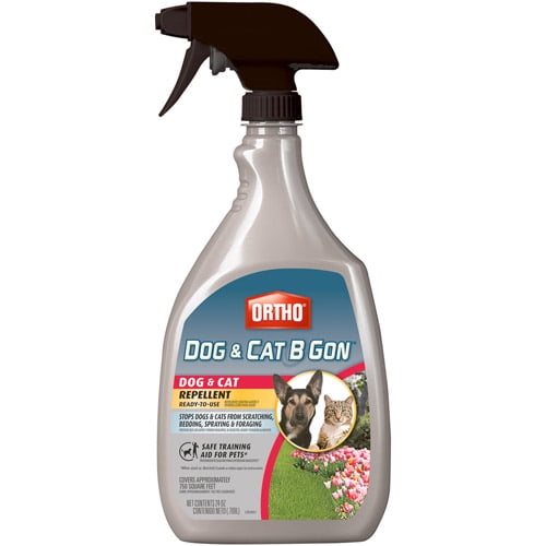 How To Repel Dogs And Cats From Yard