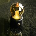 thumbnail image 4 of Retro Creative Led Bulb Night Light Luminaire Lamp Desktop Decor Rechargeable, 4 of 5