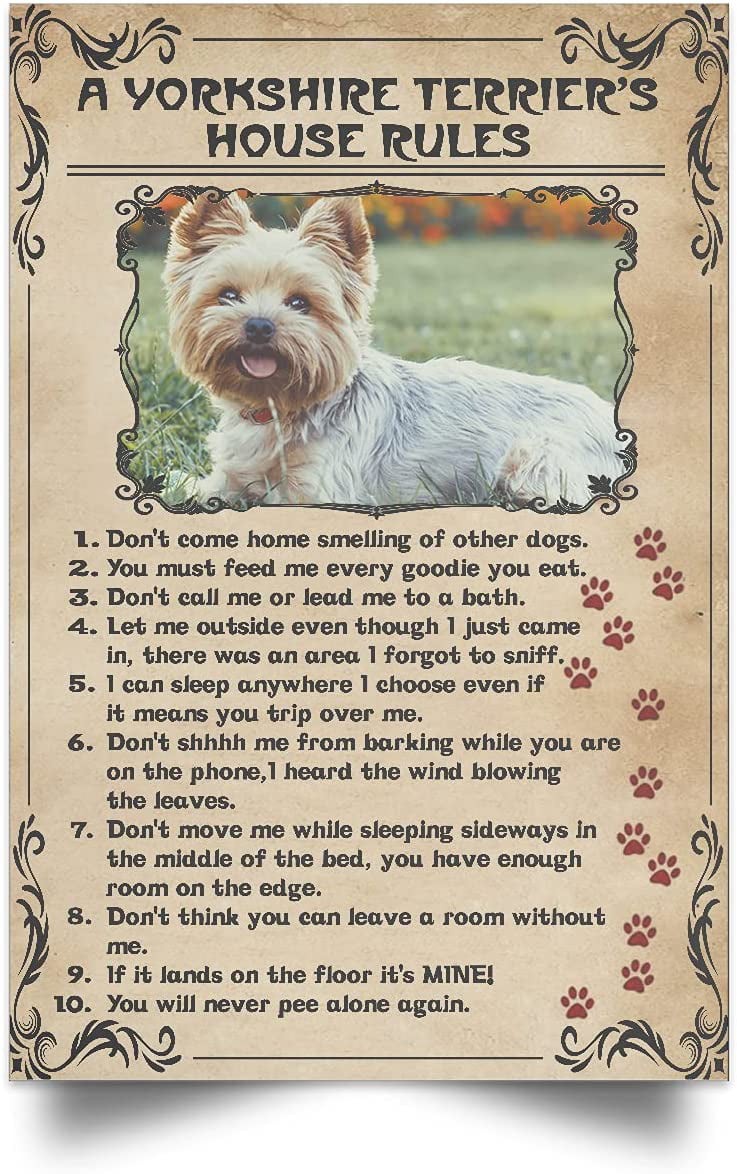 Funny Dog Yorkshire Terrier House Rules Refrigerator Magnet Gift Card Idea 