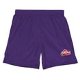 thumbnail image 3 of Play-Doh Logo Mens Lined Mesh Shorts, Purple, X-Large, 3 of 6