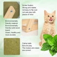 thumbnail image 5 of Cat Mint Ball Toy, Catnip Floor Ball Toy, Interactive Catnip Toy, Rotatable Catnip Roller Ball Floor Mount(Small),1 * Cat Mint Ball Toy,Green, 5 of 5