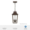 thumbnail image 7 of Hunter - Spring Cove 3-light Matte Bronze,  , Dimmable, Traditional Style, Rectangle Shaped, for Bedrooms, Bathrooms - 46085, 7 of 7