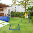 thumbnail image 2 of Vivifying 4PC Obstacle Dog Agility Training Course, Backyard Competitive Equipment- Blue/Yellow, 2 of 5