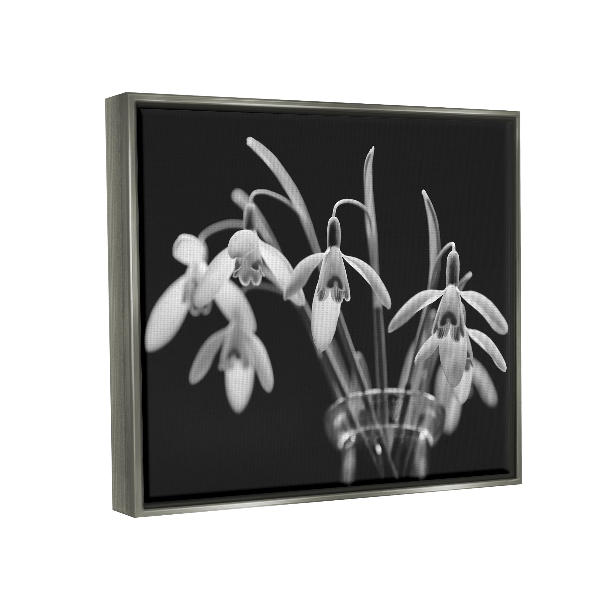 Stupell Industries Snow Drops Flower Photography Botanical & Floral Photography Gray Floater Framed Art Print Wall Art