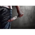 thumbnail image 5 of Cuchillo falso ensangrentado para Halloween, accesorio de disfraz, cuchillo de utilería, cuchillo cortador con sangre falsa, cuchillo para picar, juguete, arma de plástico, decoración de Halloween, 5 of 5