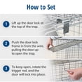thumbnail image 4 of Havahart Large 1-Door Animal Trap, 4 of 17