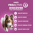 thumbnail image 4 of IAMS Proactive Health Adult Dry Dog Food, Large Breed Senior Dog Food, 30 lb. Bag, 4 of 11