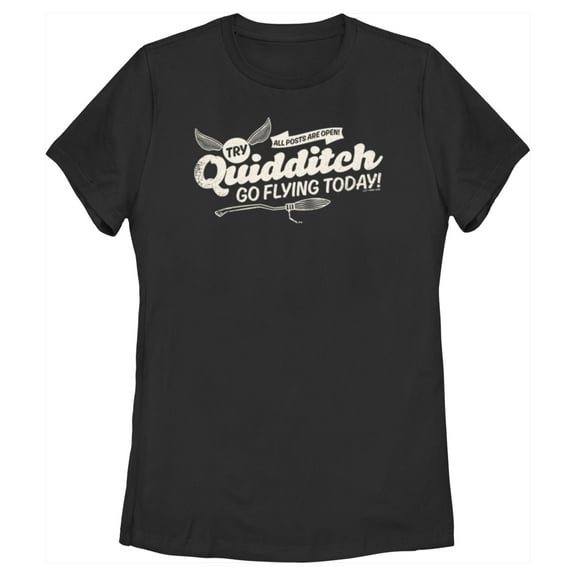 Women's Harry Potter Quidditch Go Flying Today  Graphic Tee Black X Large