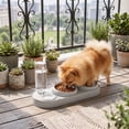 thumbnail image 4 of 3 in 1 Cat Bowl,Cat Food and Water Bowl Set with Water Dispenser and Stainless Steel Bowls,Double Bowls Design,15-degree Tilted Pet Feeder,Gray, 4 of 6