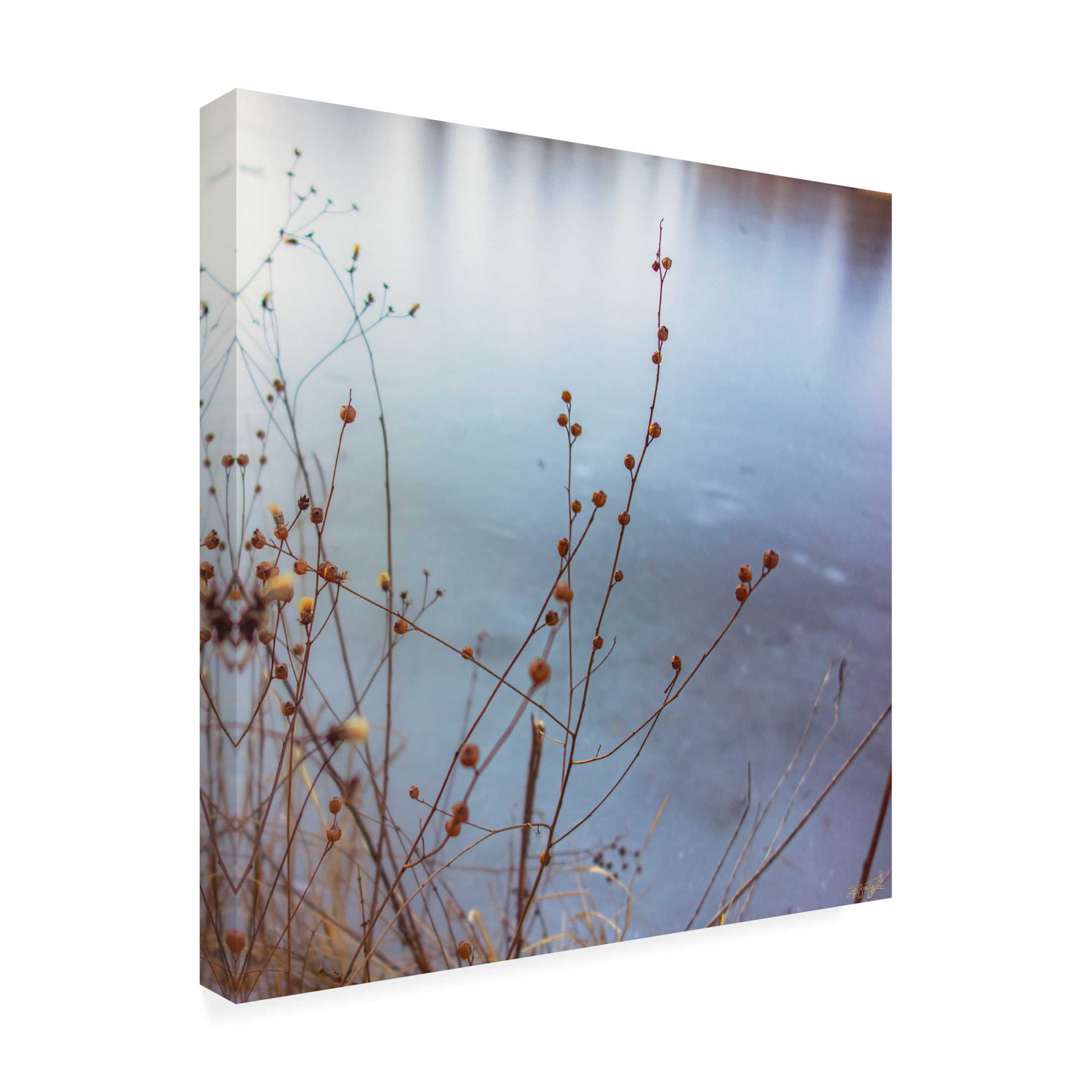 Canvas Wall Art - Life BeautifuLEE 'The Goldden Glass Lake 3' Wall Art for Living Room, Bedroom, or Office Décor by Trademark Fine Art - 18 x 18 Inches
