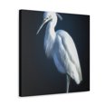 thumbnail image 2 of Snowy Egret Reflection - Canvas, 2 of 10