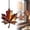 A1, variant on Maple Leaves Stained Glass Window Hanging Fall Leaves Decor Fall Leaves Acrylic Suncatcher Maple Leaf Fall Decor Autumn Leaves Stain Glass Window Hanging Fall Decorations for Home Hanging Ornament A