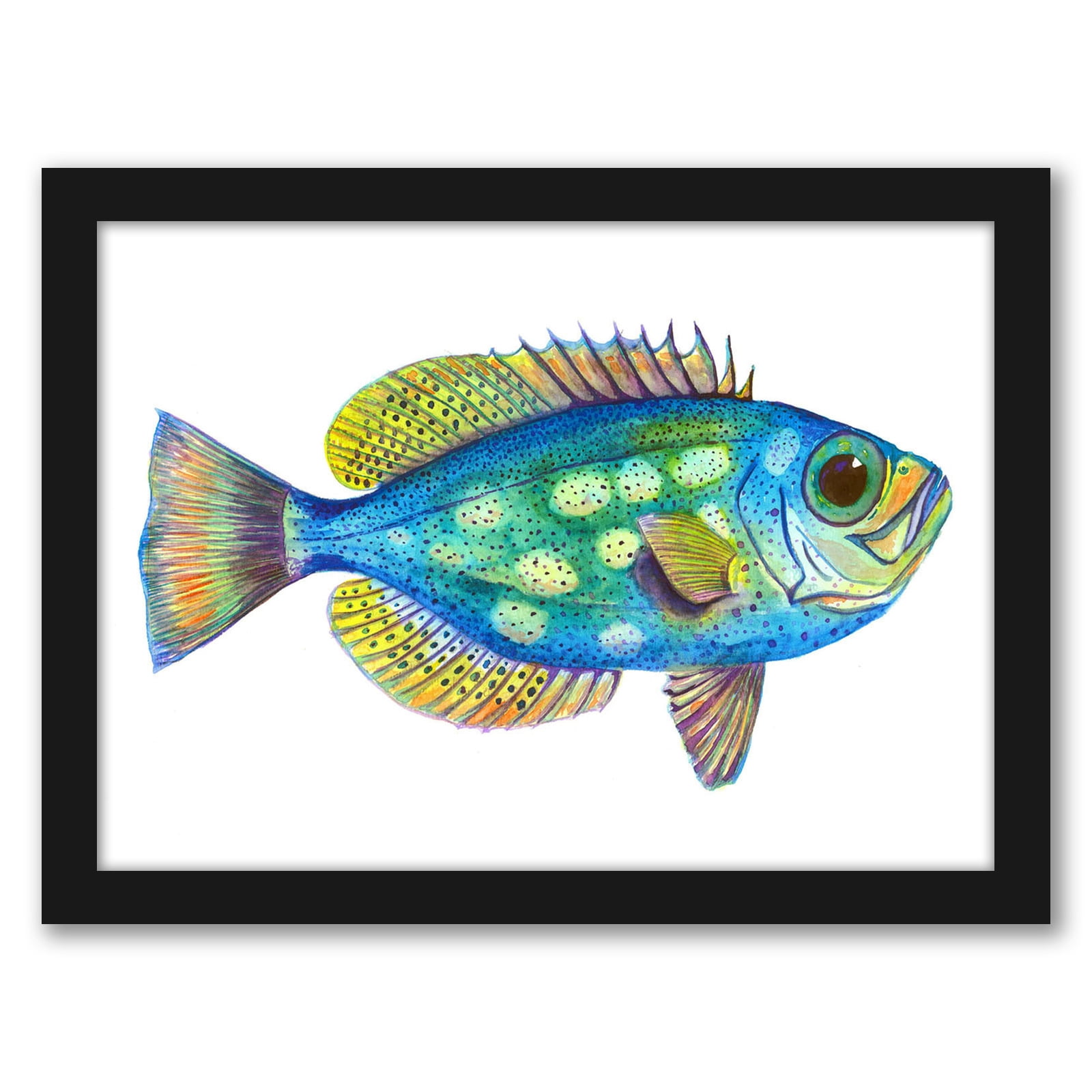 Americanflat Glasseye Snapper 2 by T.J.&nbsp;Heiser Black Frame Wall Art -  Walmart.com