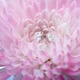 thumbnail image 5 of Gem Stone King 14K White Gold Moissanite Friction Back Martini Stud Earrings for Women Men | 1.60 Cttw | | Round 6MM | Fine Jewelry Gifts for Women Mom Wife Her, 5 of 6