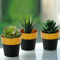 Efavormart 3 Packs | 3" Black/Gold Rimmed Succulent Pots, Indoor Outdoor Small Planters Décor