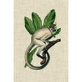 thumbnail image 3 of McCavitt, Naomi 17x24 Black Modern Framed Museum Art Print Titled - Canopy Monkey IV, 3 of 5