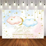 Custom Twinkle Twinkle Little Star Gender Reveal Backdrop 8x6ft Pink Blue Little Stars Baby Shower Background Glitter Gold Stars Moon Baby Reveal Surprise Party Photoshoot Banner